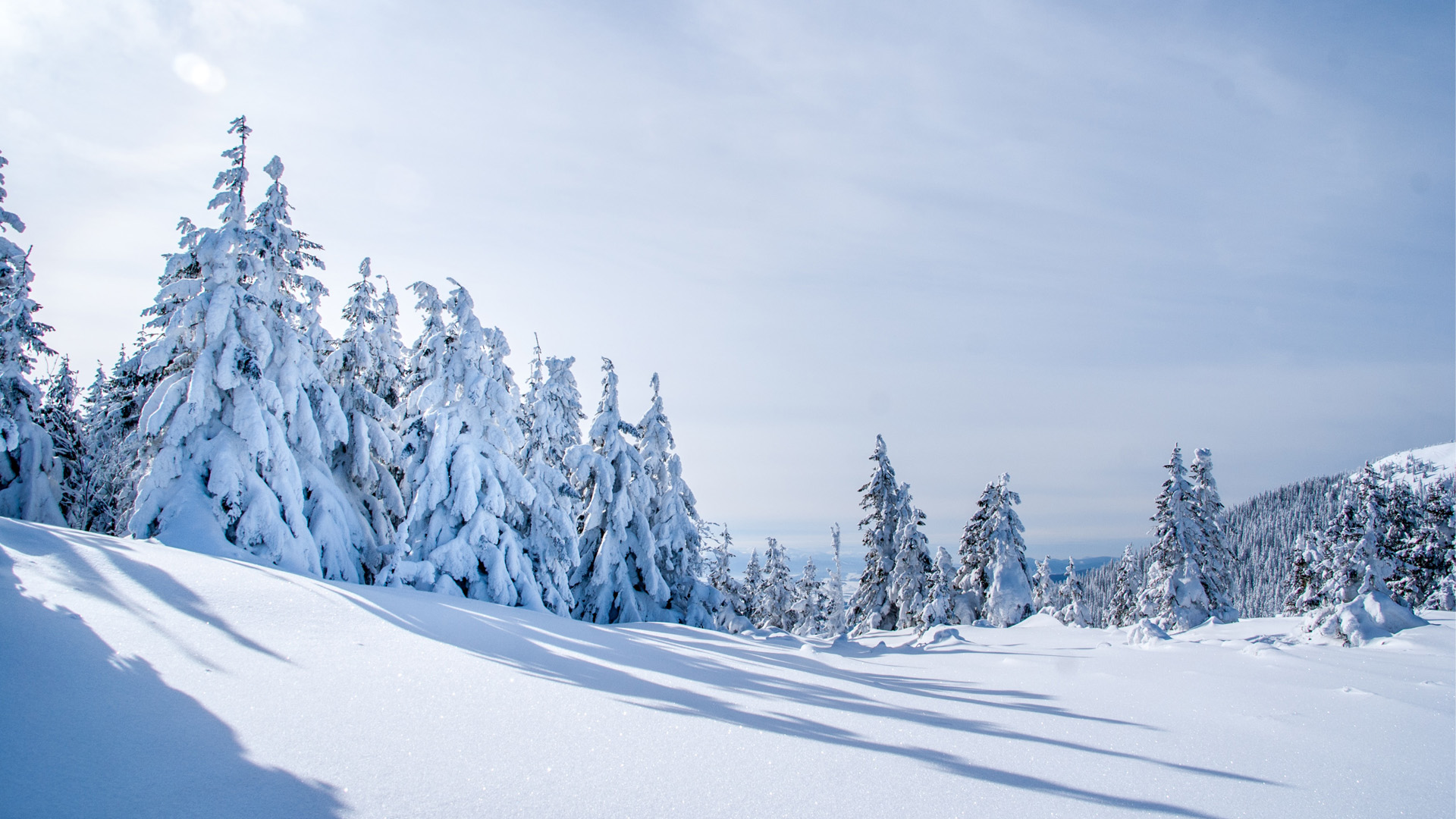 stonegate at big white