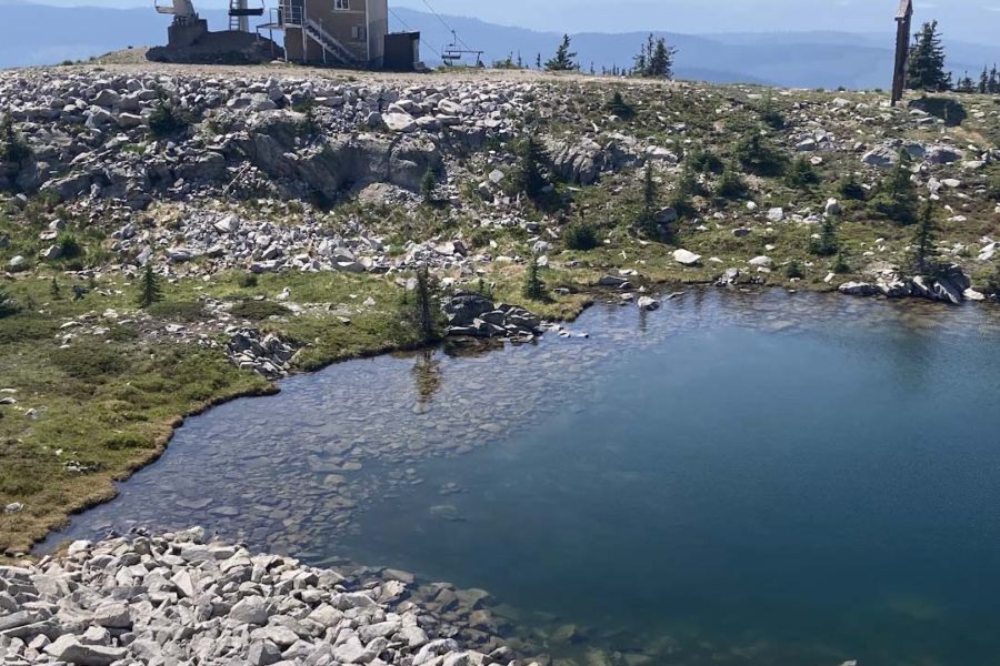 2025 Big White Homes 2025 in Review