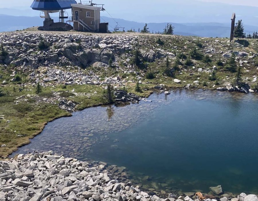 2025 Big White Homes 2025 in Review