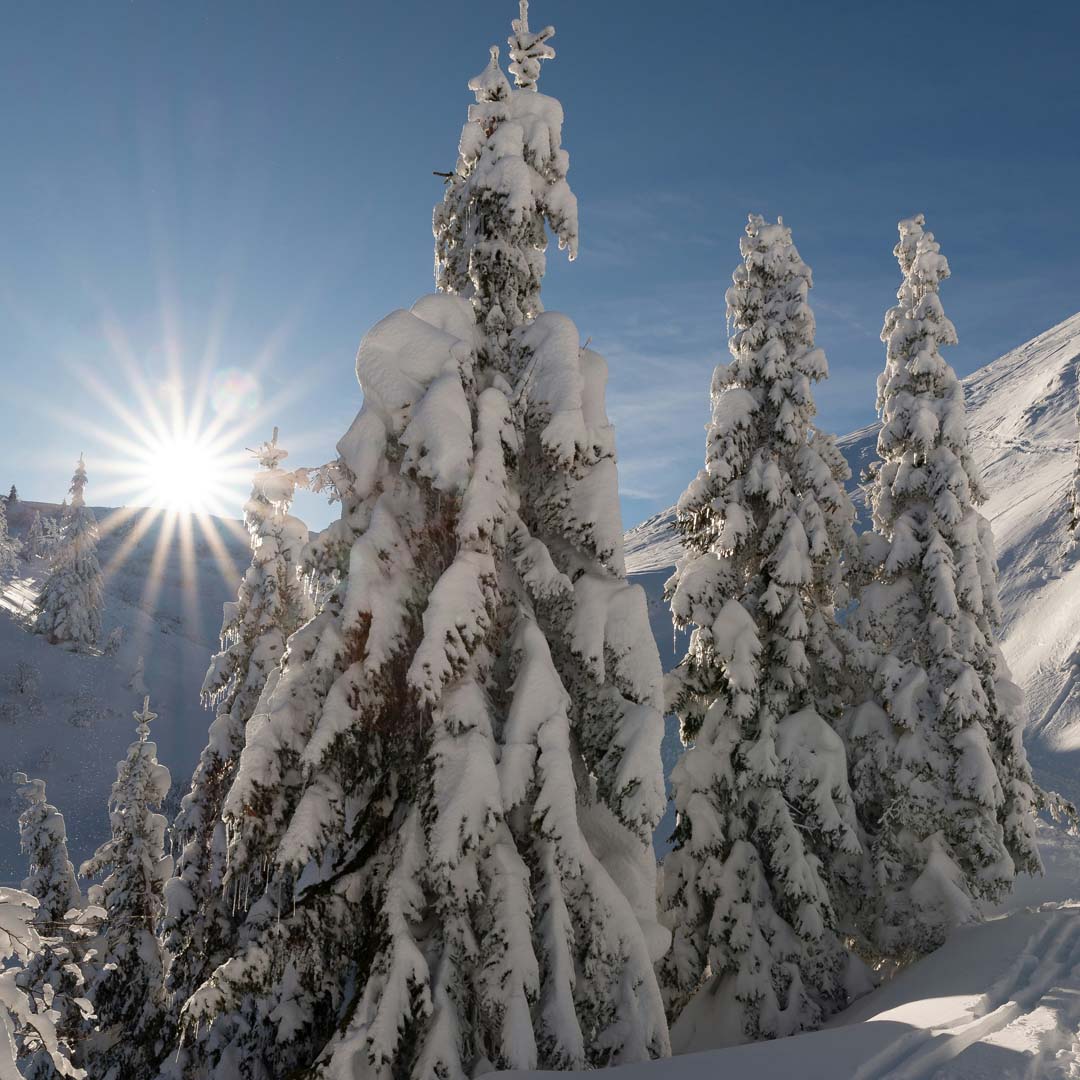 big white ski condos with ski in ski out access